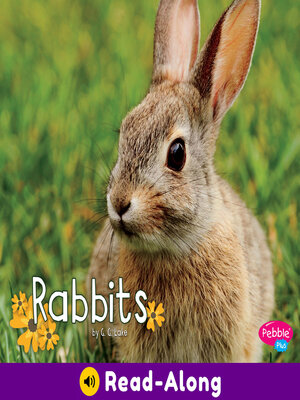cover image of Rabbits